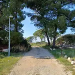Cvita