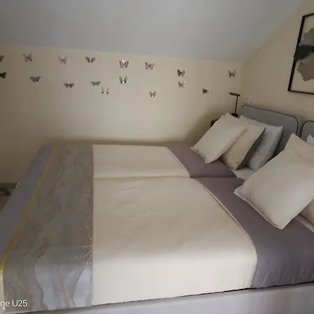 Apartman Cvita *