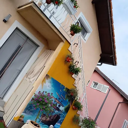 Cvita * Bilice